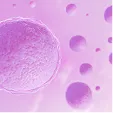 Ovulation Disorders